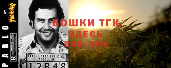 крисы Баксан