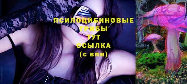 крисы Баксан