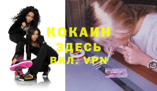крисы Баксан
