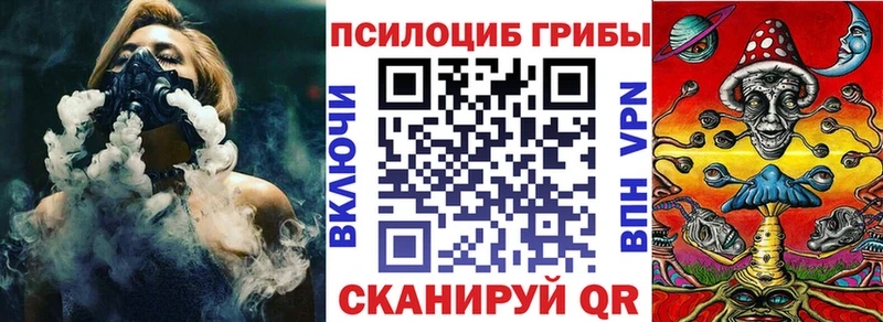 Галлюциногенные грибы Psilocybine cubensis  закладка  Мурино 