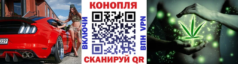 Шишки марихуана план  hydra зеркало  Мурино 